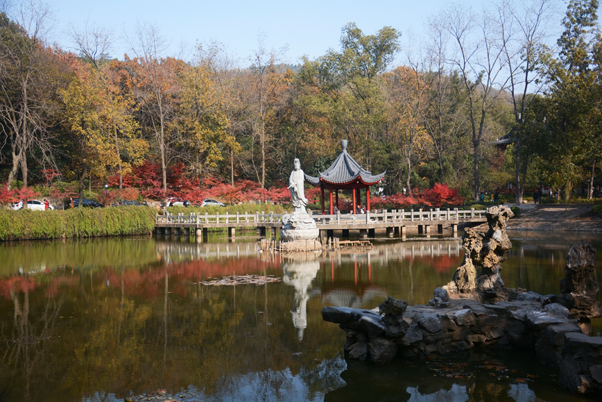 DSC_4419.JPG