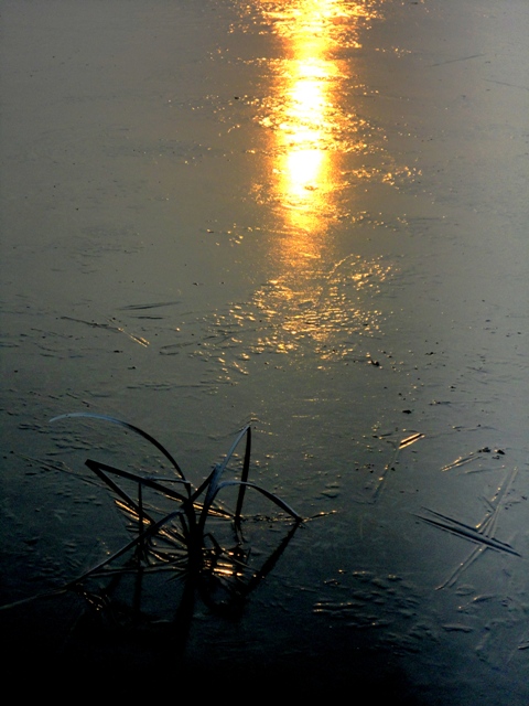 DSC08184.JPG