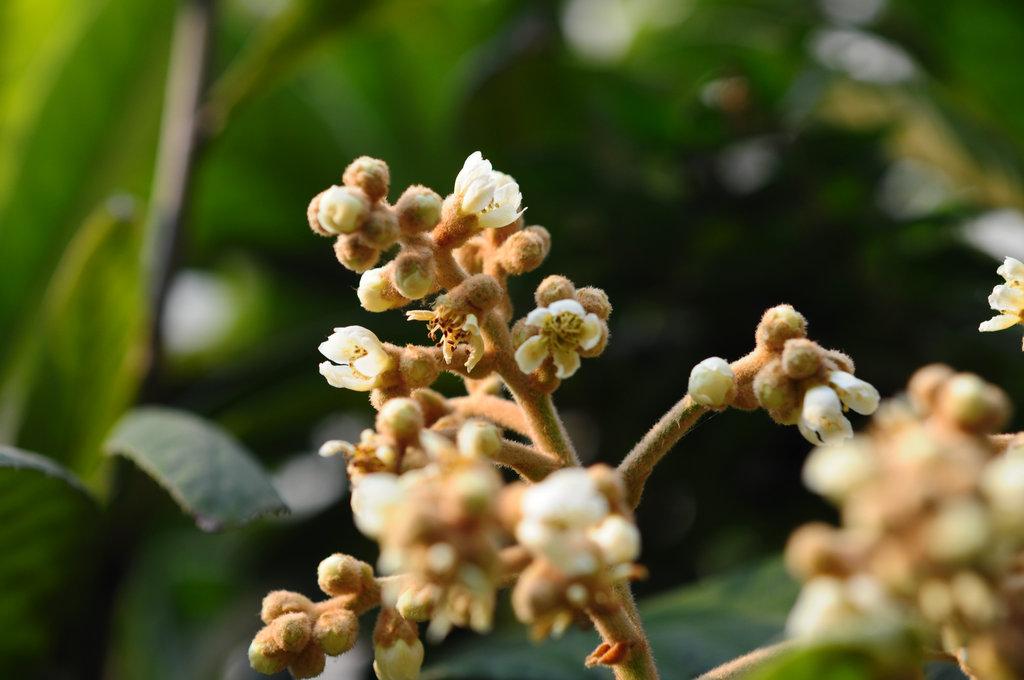 DSC_0763_副本.JPG