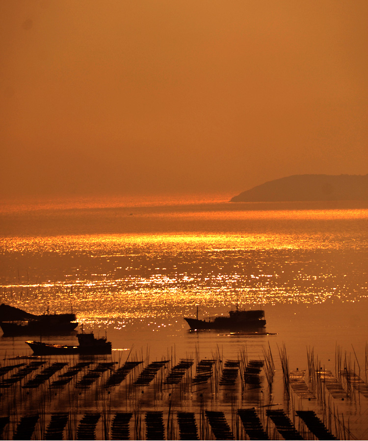 DSC_3434.jpg
