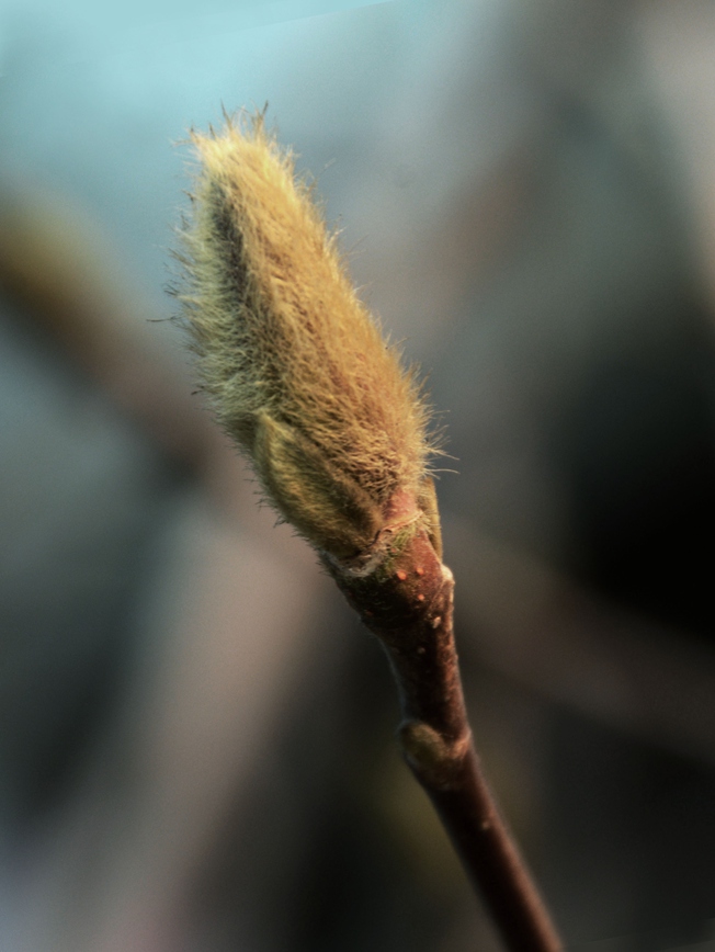 DSC_0773.JPG