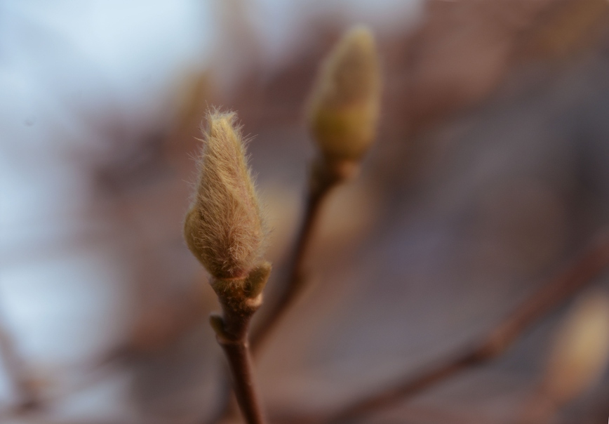 DSC_0772.JPG