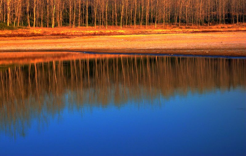 DSC_6413_光影_1.jpg