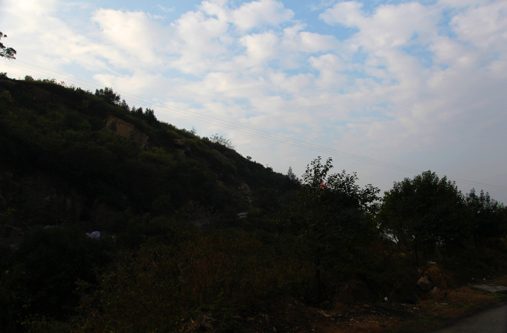 IMG_8988.JPG