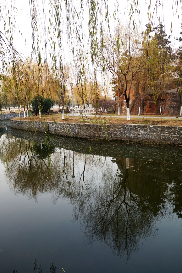 DSC02145.JPG