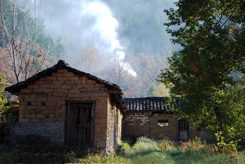 DSC_5502_光影_1.jpg