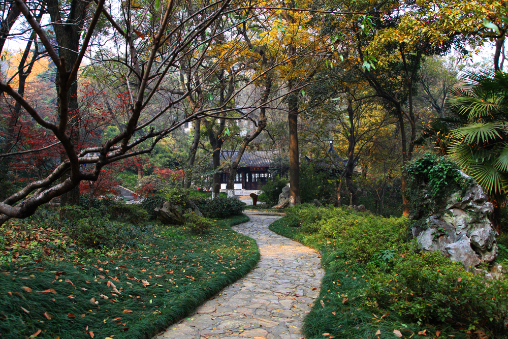 11.23南山 292.jpg