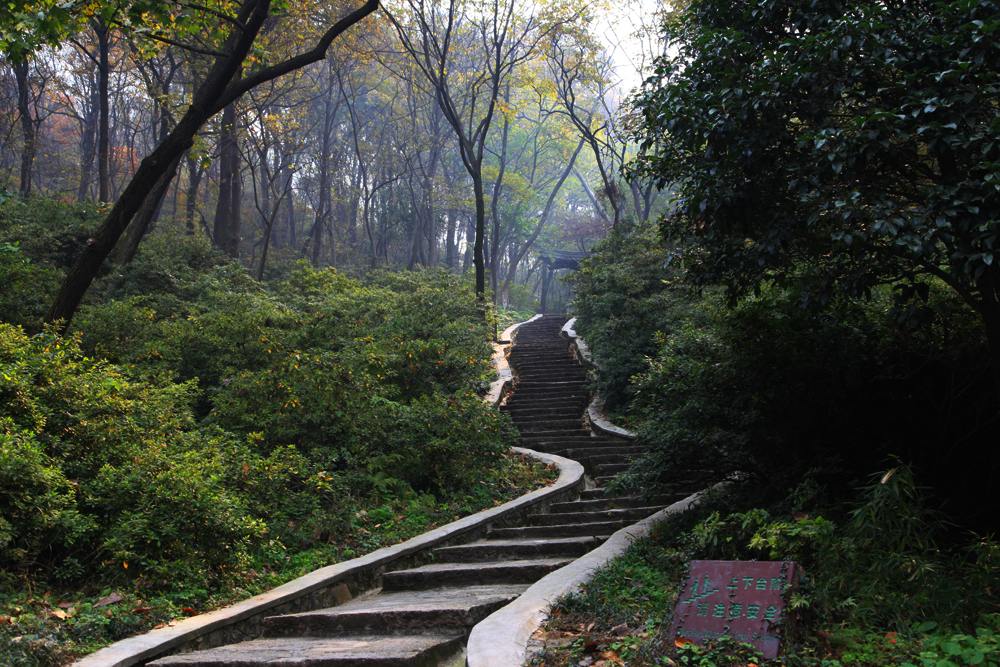 11.23南山 299.jpg