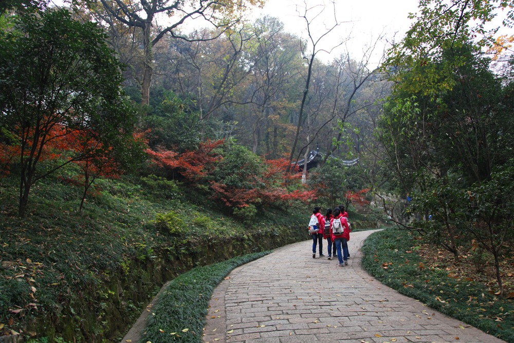 11.23南山 306.jpg
