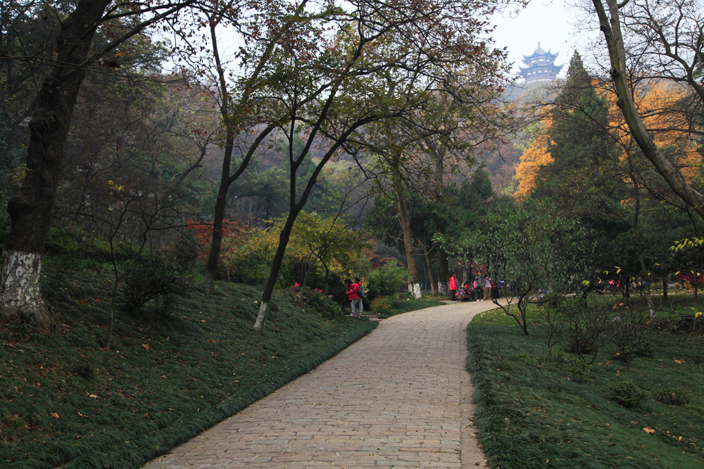 11.23南山 320.jpg