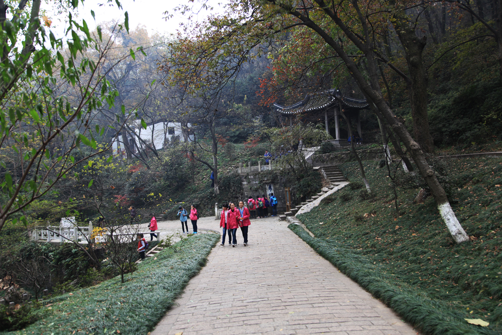 11.23南山 337.jpg