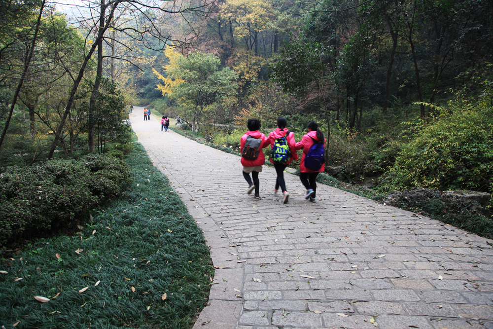 11.23南山 470.jpg