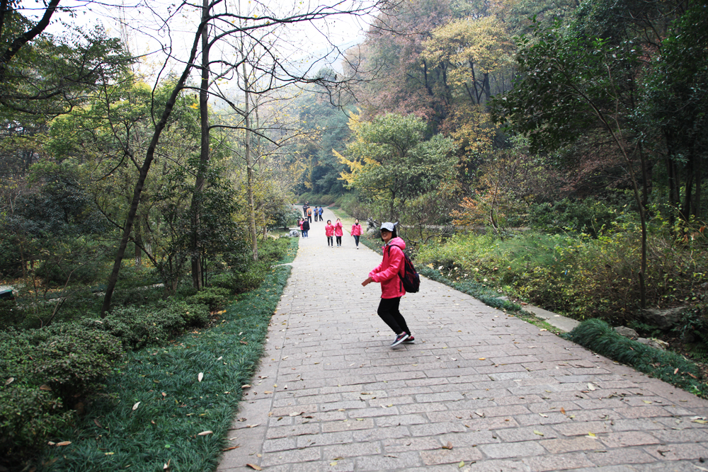 11.23南山 472.jpg