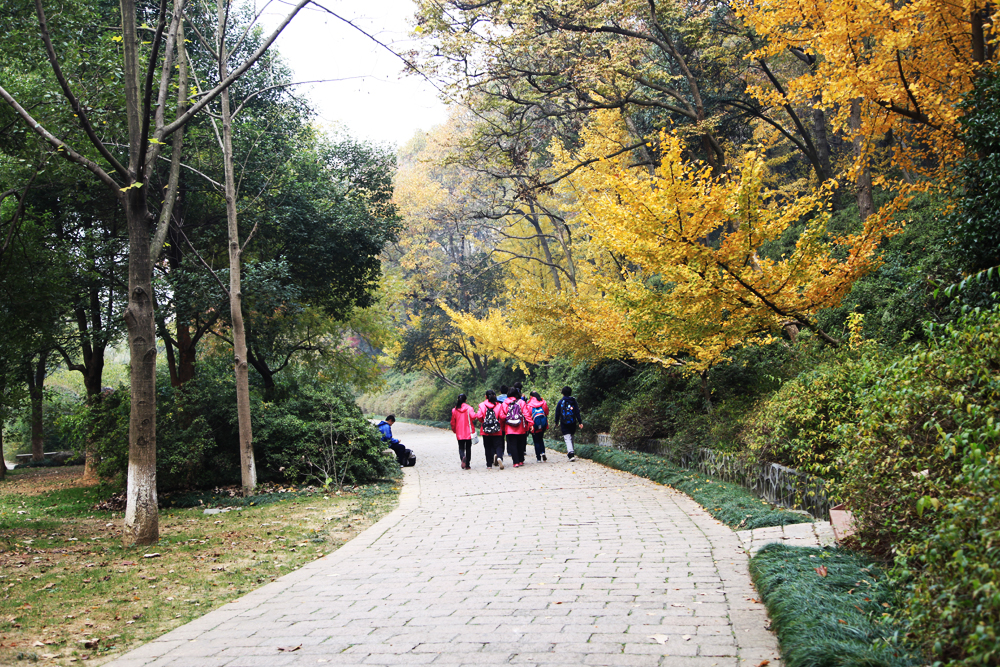 11.23南山 478.jpg