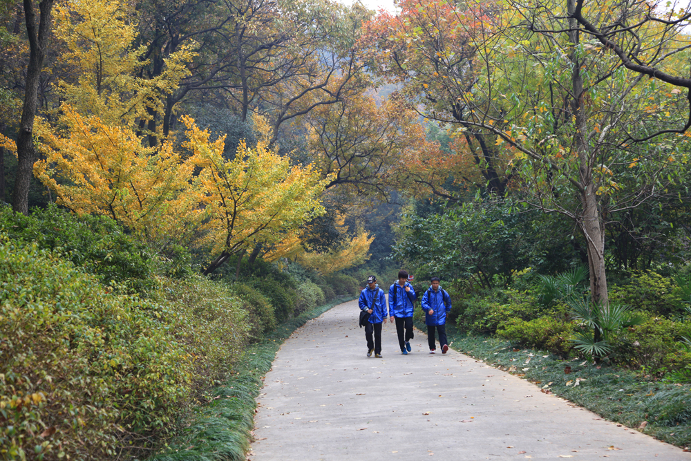 11.23南山 484.jpg