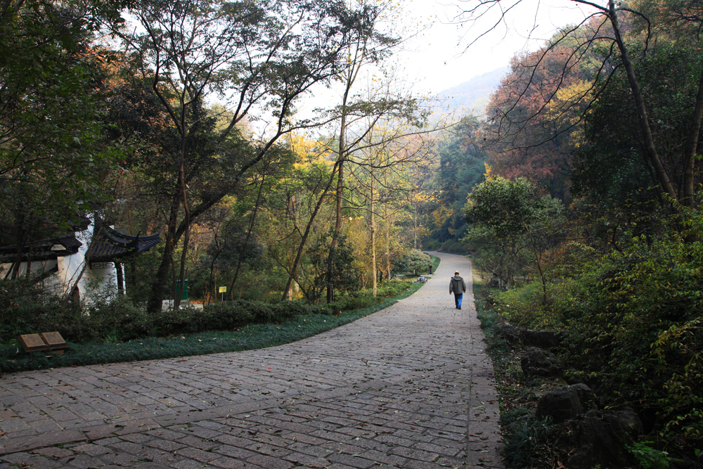 11.23南山 206.jpg