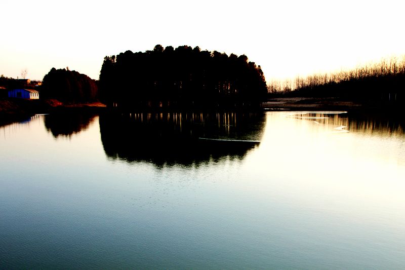 IMG_2626a.jpg