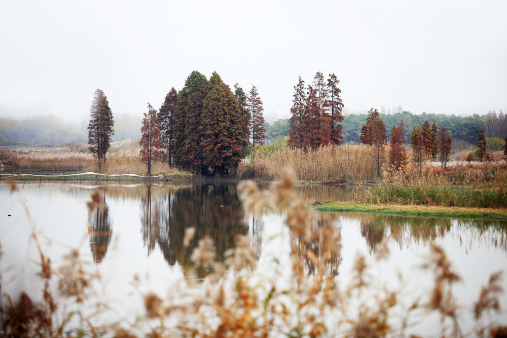 11.25白龙寺 540.jpg