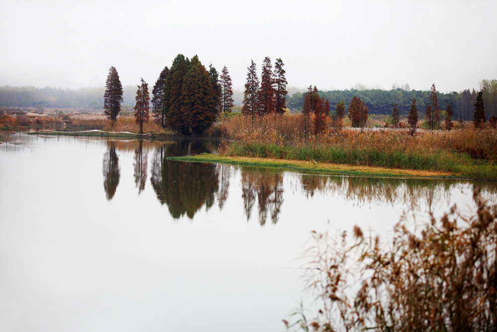 11.25白龙寺 529.jpg