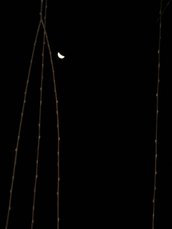 DSC08229.JPG