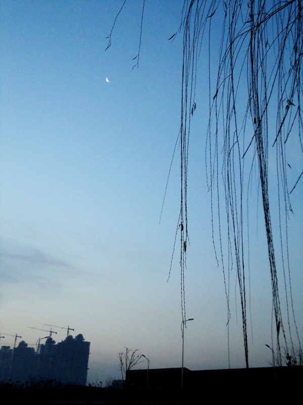 DSC08286.JPG