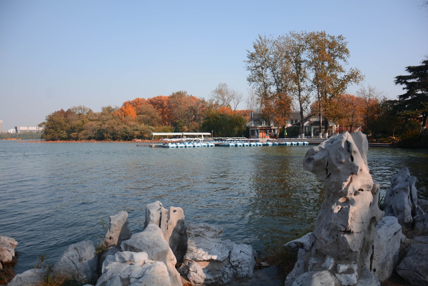 DSC_4496.JPG