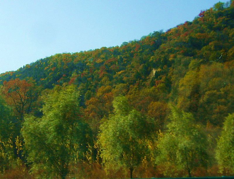 P1700960a.jpg