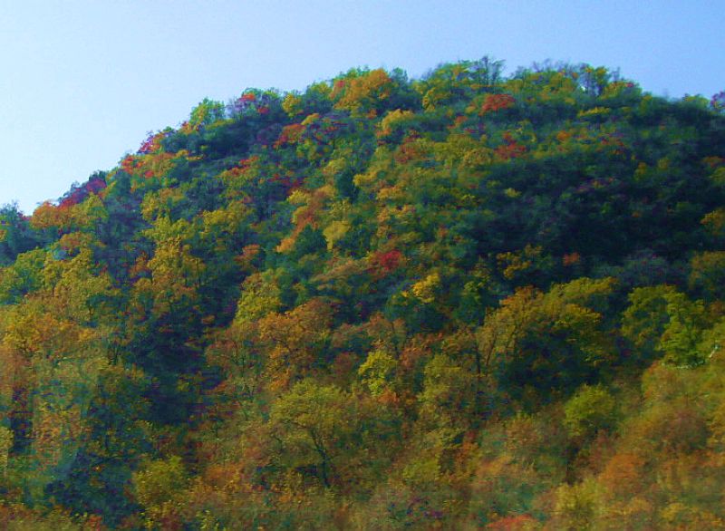 P1700961a.jpg