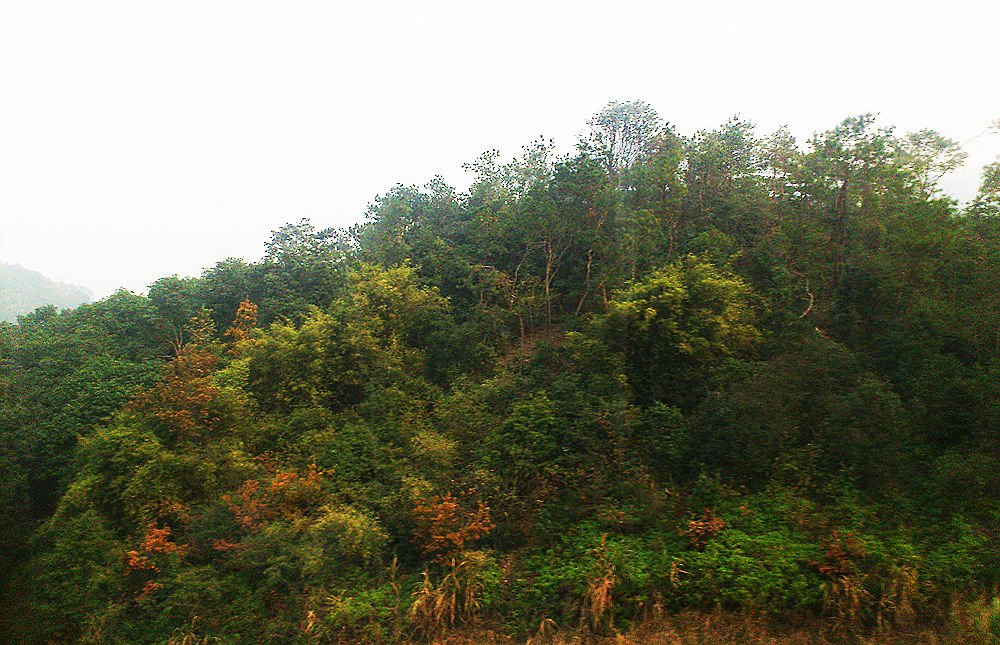 IMG_20131206_140237.jpg