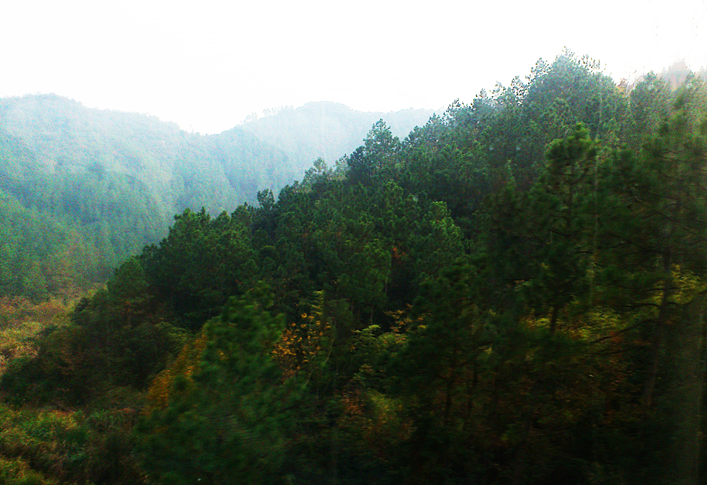 IMG_20131206_141248.jpg