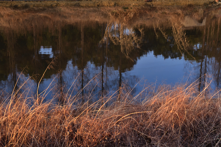 DSC_3632.jpg