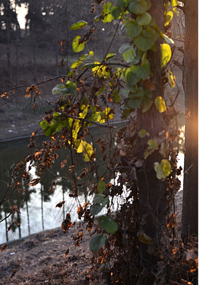 DSC_3638.jpg