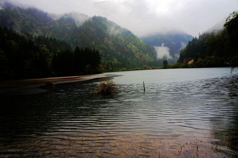 DSC03208_neo_bak.JPG