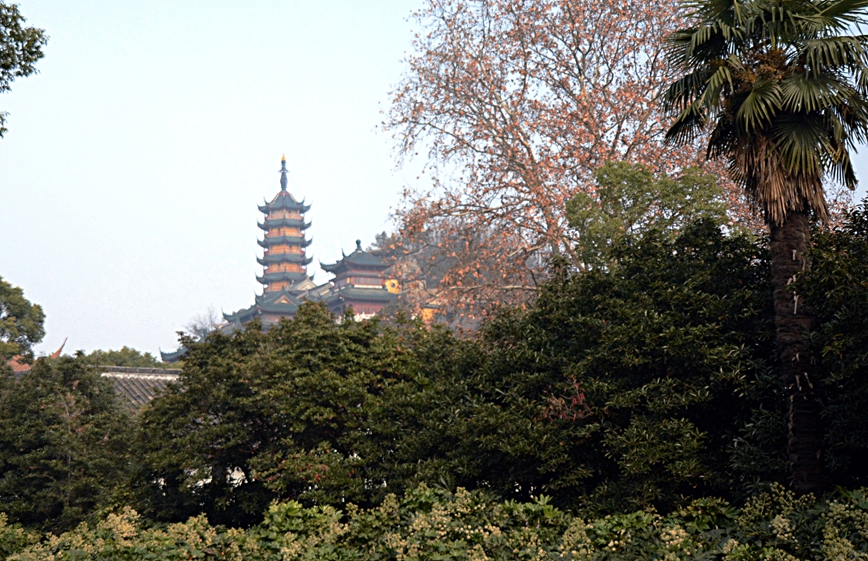 DSC_0652副本.jpg