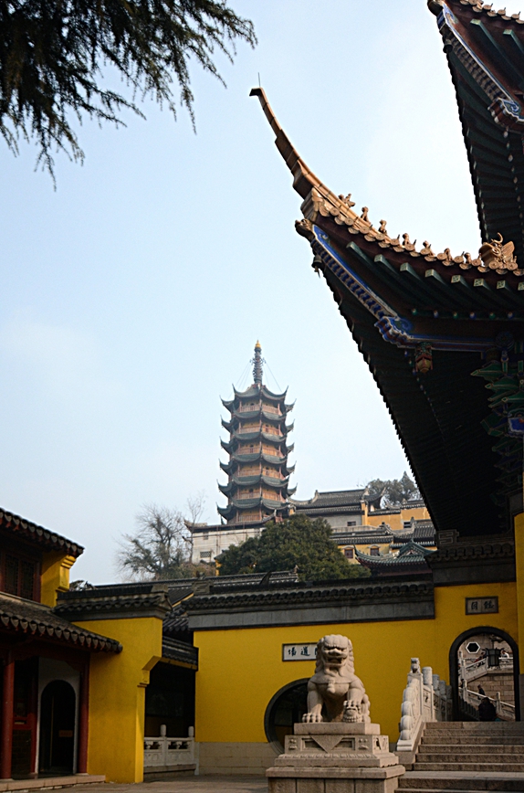DSC_0664.JPG