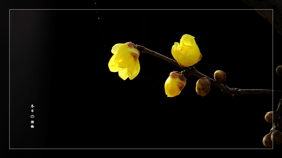 IMG_0021_副本.jpg