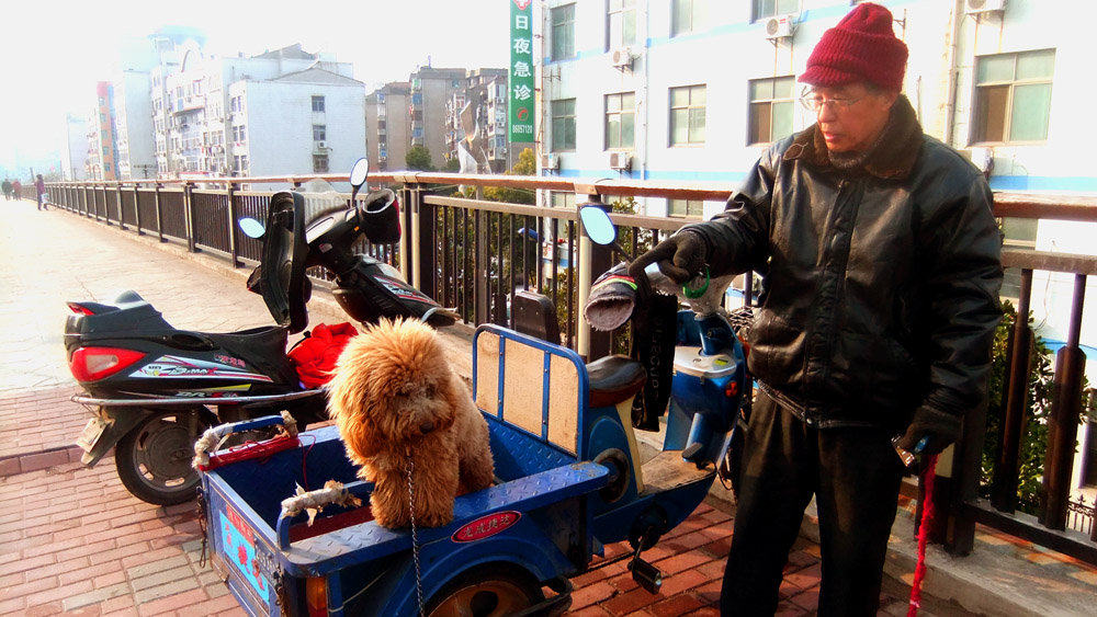 DSCF3885 .jpg