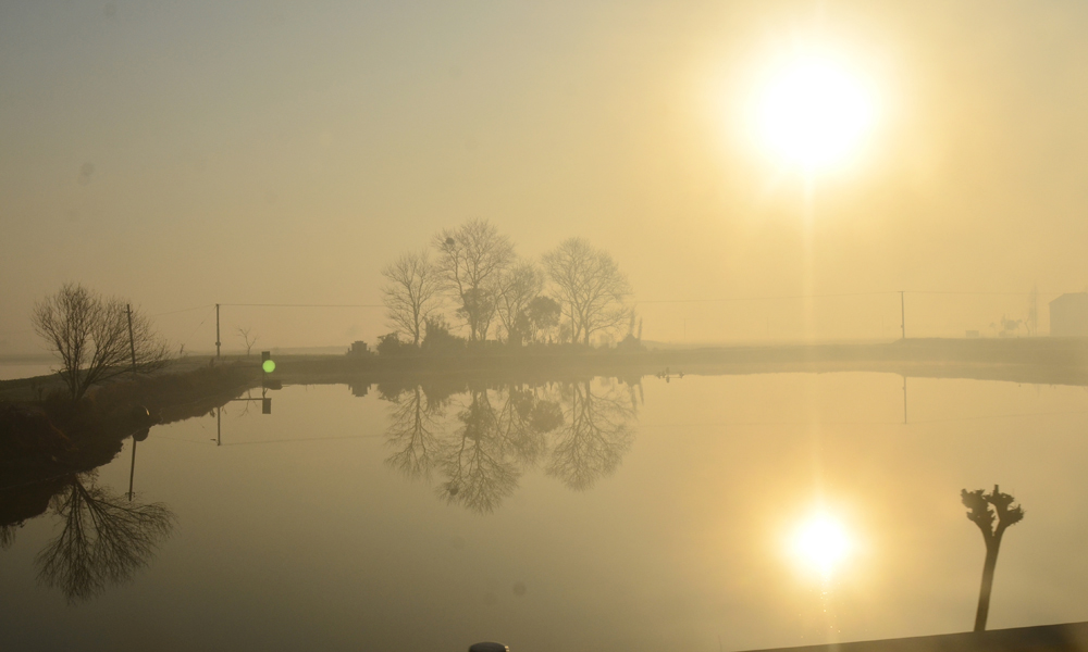 DSC_4130.jpg