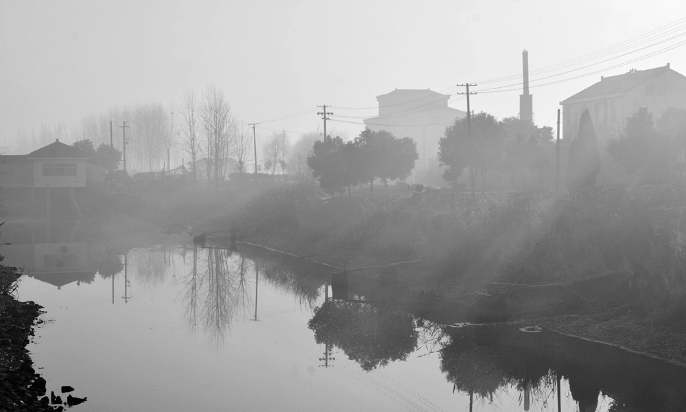 DSC_4137.jpg