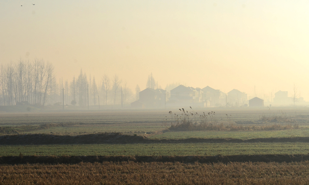 DSC_4144.jpg