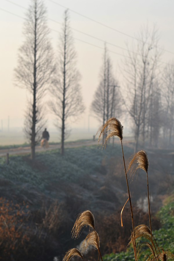 DSC_4145.jpg