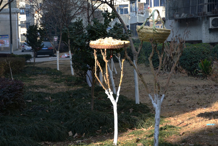 DSC_1753.JPG