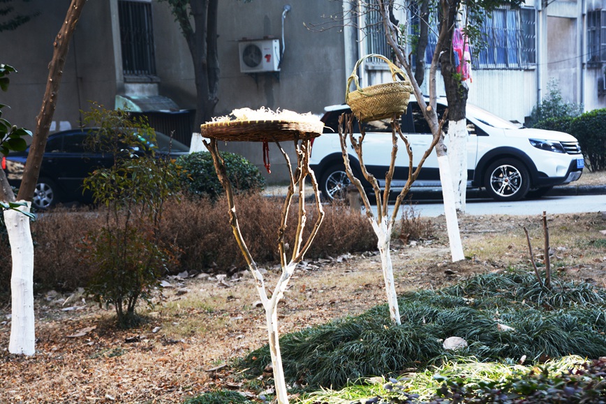 DSC_1754.JPG