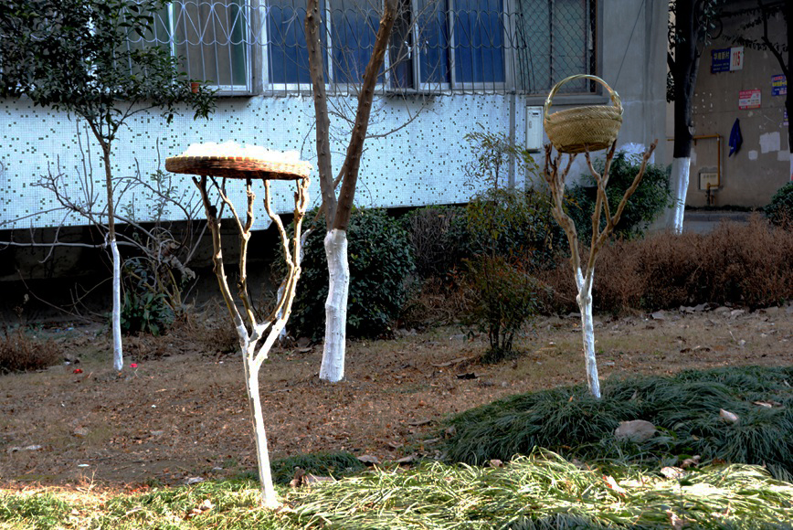 DSC_1755.JPG