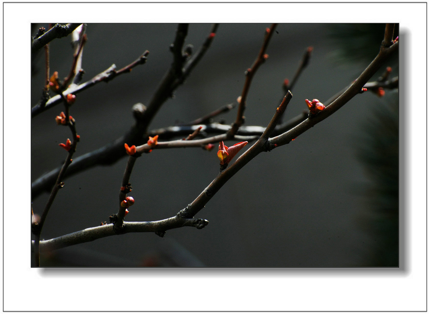 DSC_5104_副本_副本.jpg