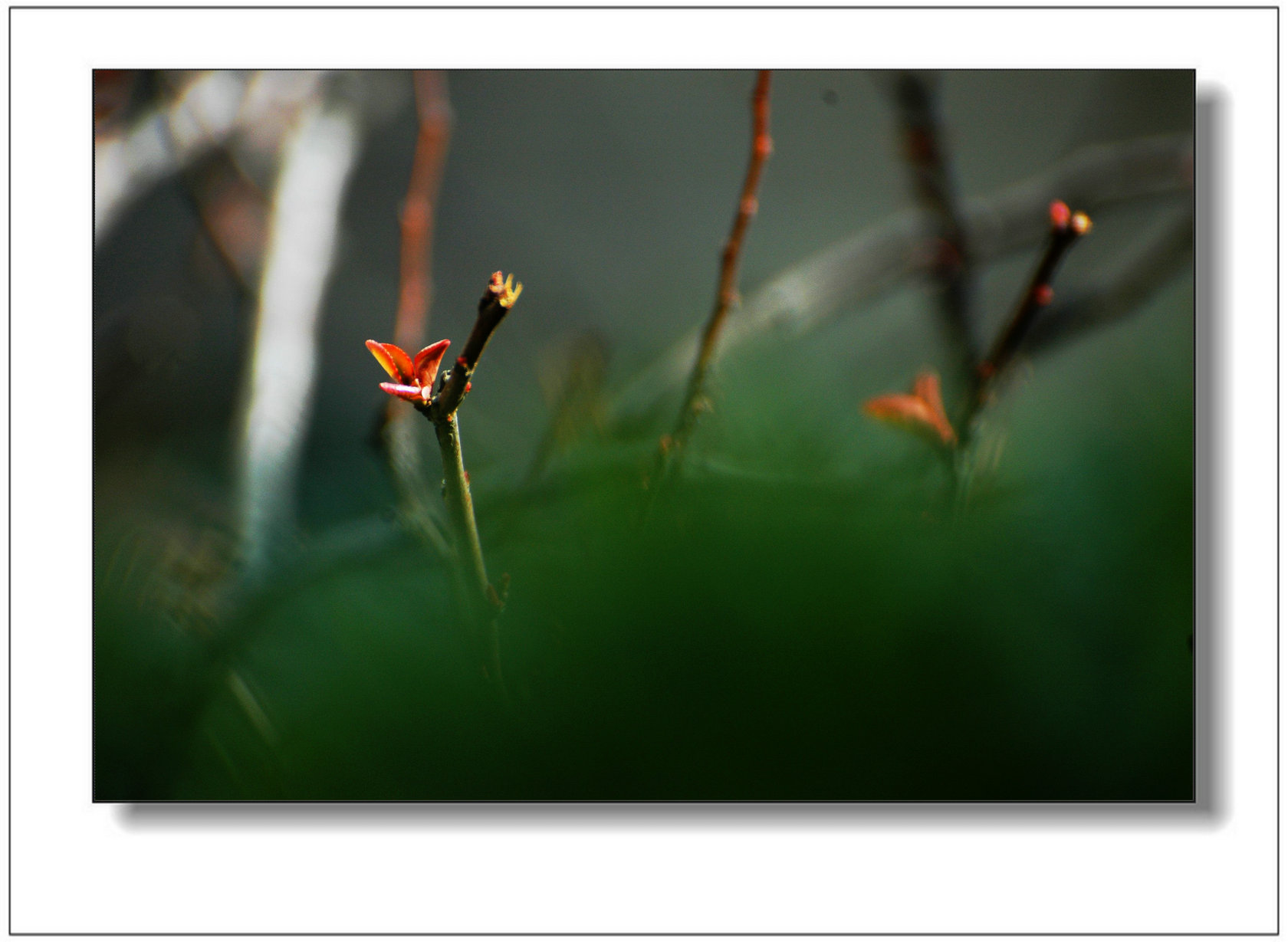 DSC_5137_副本_副本.jpg