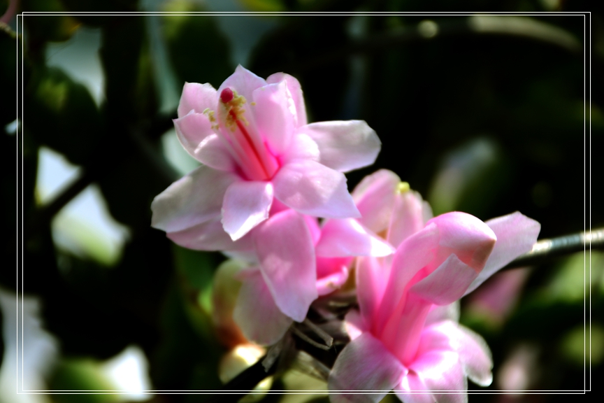 DSC_1112.JPG