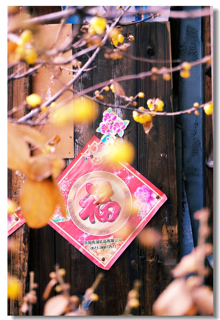 nEO_IMG_DSC02675.jpg