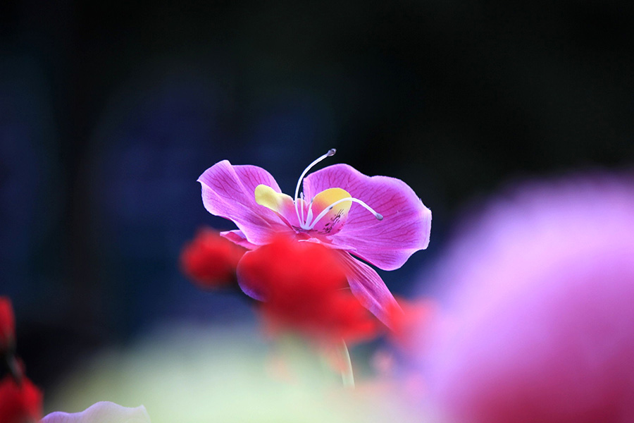 _MG_2105.JPG