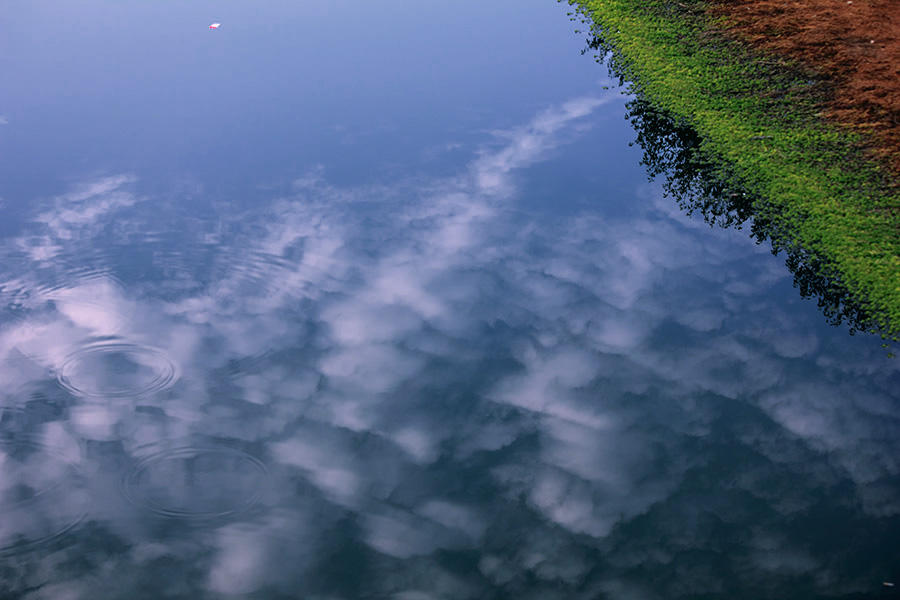 _MG_1780.JPG